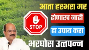 हरभरा मर होणारच नाही हा उपाय करा, गजानन जाधव यांचा कृषी सल्ला.