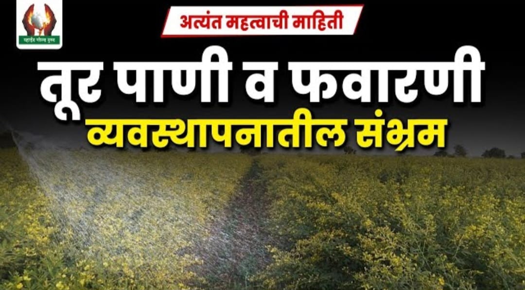 तूर आणि फवारणी